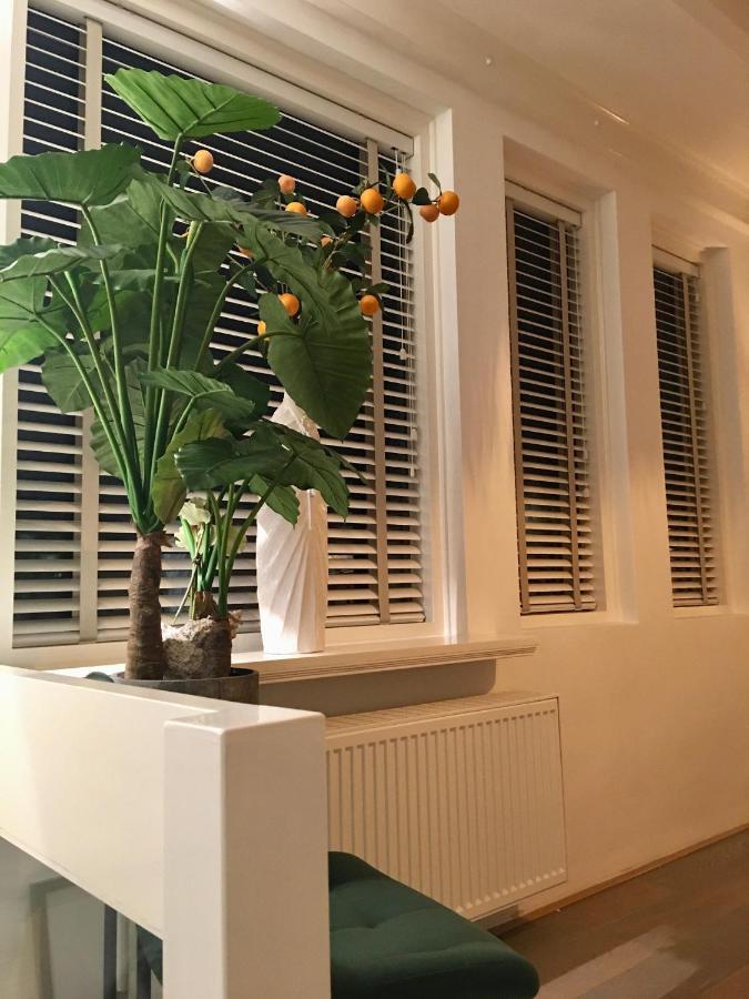 Vakantiehuis De Zeeparel ซานด์โวร์ต ภายนอก รูปภาพ