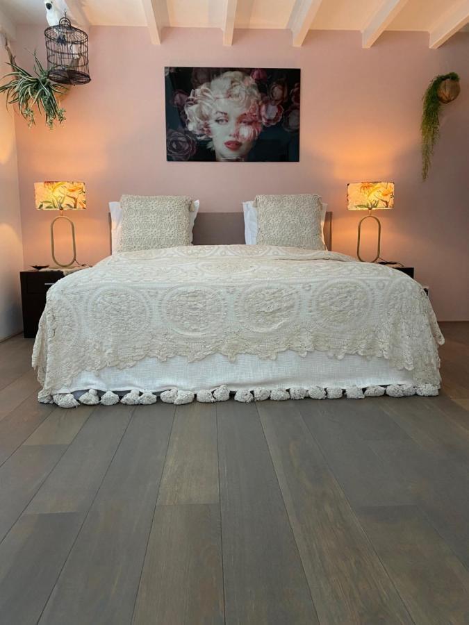 Vakantiehuis De Zeeparel ซานด์โวร์ต ภายนอก รูปภาพ